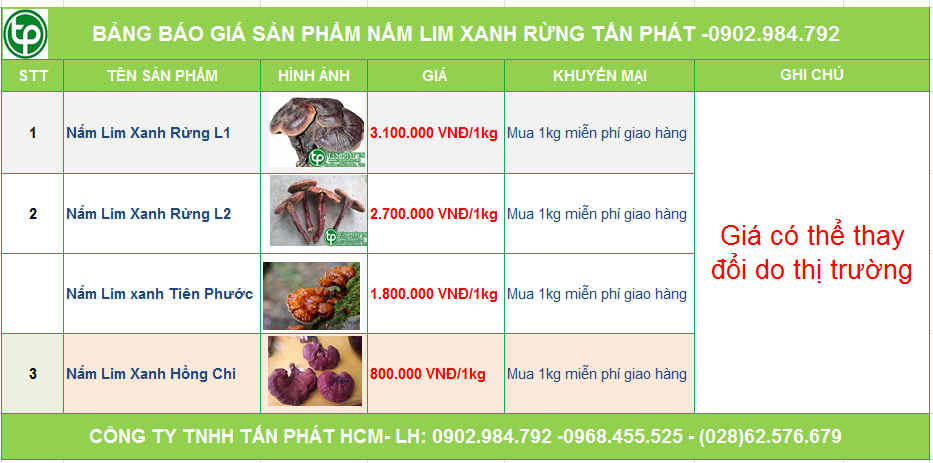 Bảng giá nấm lim xanh rừng của CTY Tấn Phát cung cấp tại Tam Kỳ