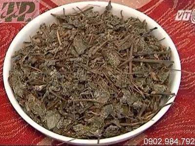 Địa chỉ mua bán chè dây tại Quảng Ngãi