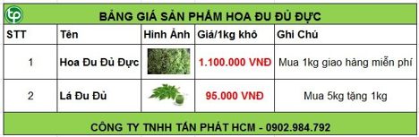 Địa chỉ mua bán hoa đu đủ đực tại Bình Dương tăng cường sức khỏe