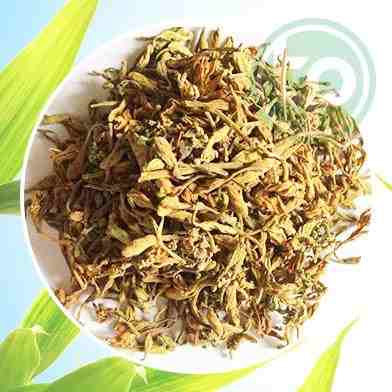 Địa chỉ mua bán hoa đu đủ đực tại Thái Bình tăng cường sức khỏe