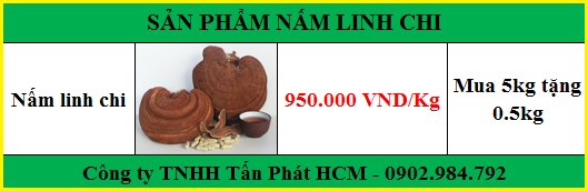 Địa chỉ mua bán nấm linh chi tại Tây Ninh