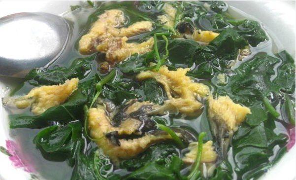 Món ngon kiêm vị thuốc tốt từ rau mồng tơi
