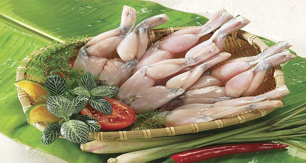 bài thuốc hay từ thịt ếch