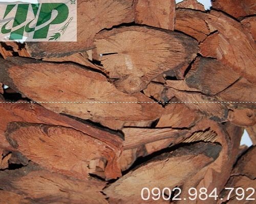 Hà thủ ô chữa thiếu máu hiệu quả